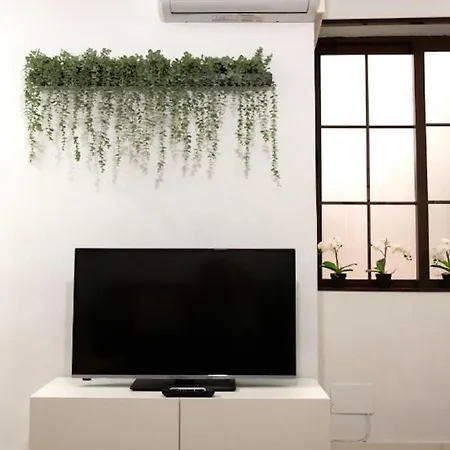 Daire Holidays2malaga Lagunillas 3 Bedrooms Downtown Local Area 500mb Free Wifi