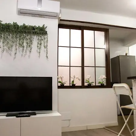 Apartment Holidays2malaga Lagunillas 3 Bedrooms Downtown Local Area 500mb Free Wifi *